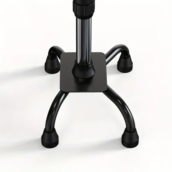 6eab8fec-06ed-40df-9254-3bd6f0c4836a.webp Non Slip Cane for Elderly